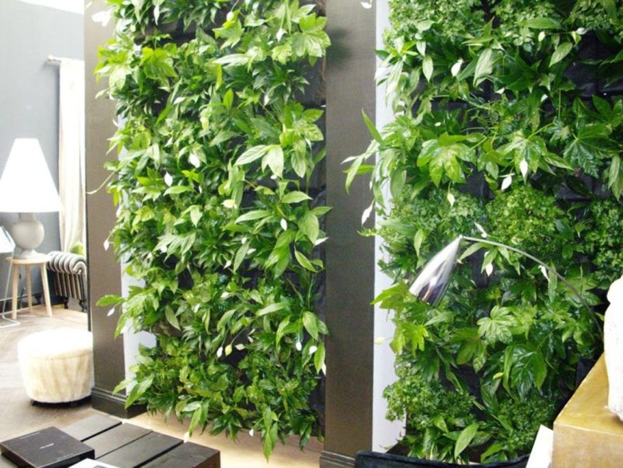 Лиана Грин вертикальное Озеленение