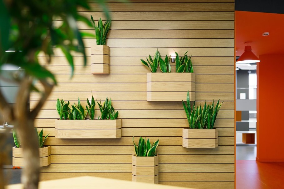 Растения на стене
