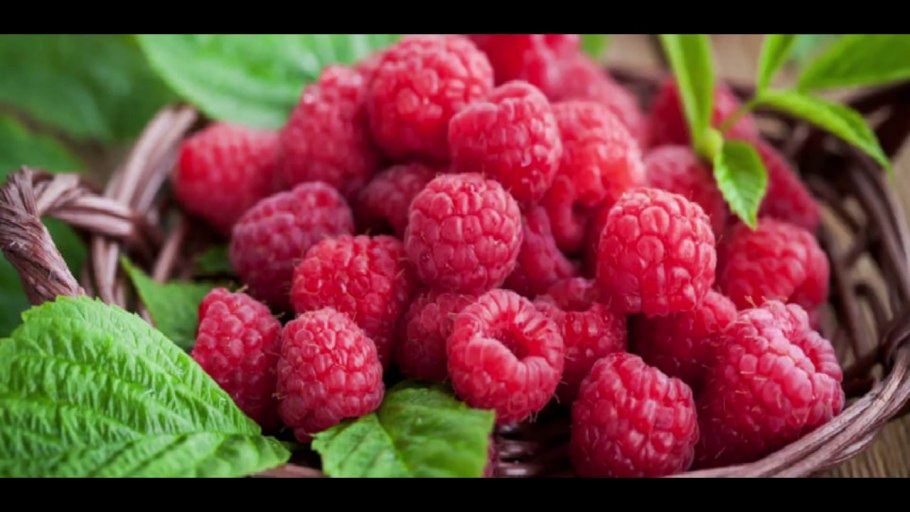 Розоволистная малина