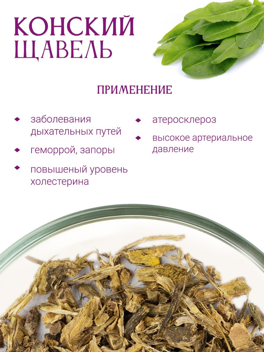 Конский щавель применение для человека