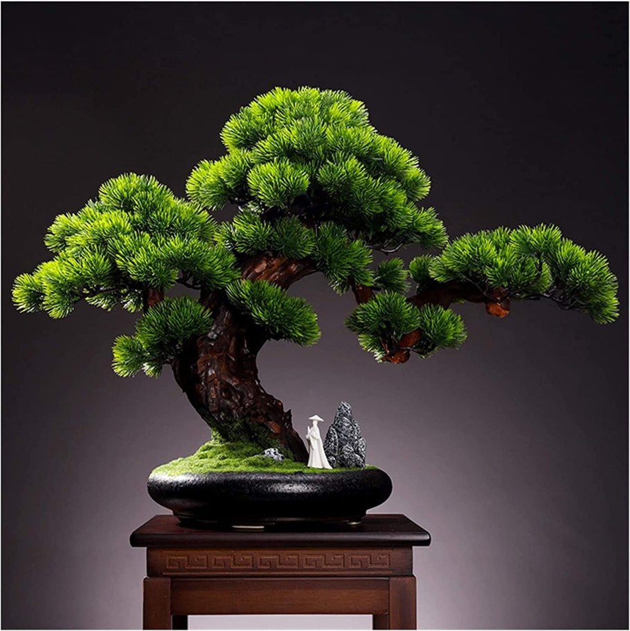 Yoshino бонсай