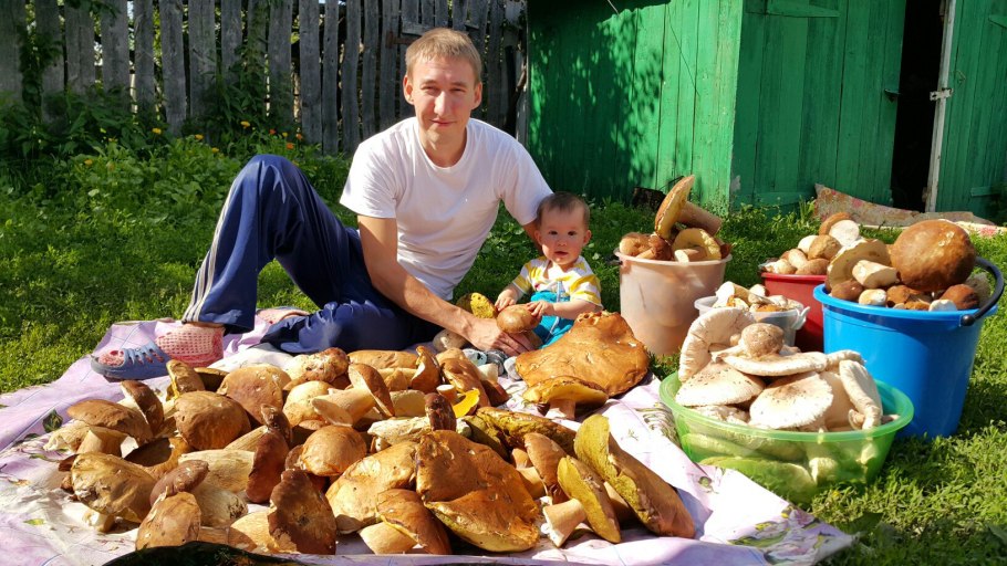 Белый гриб в Забайкалье