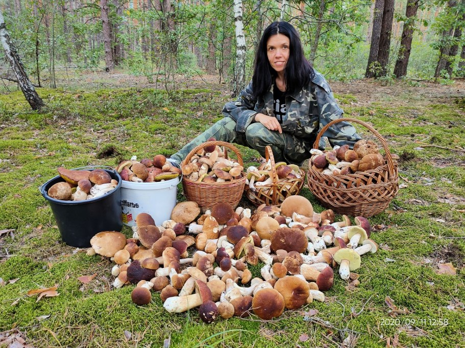 Поход за грибами