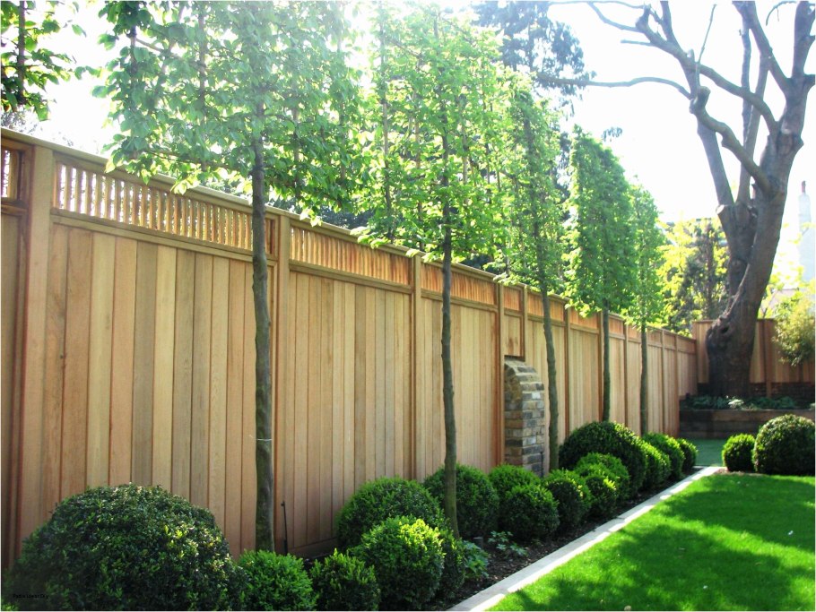 Высокий забор на даче