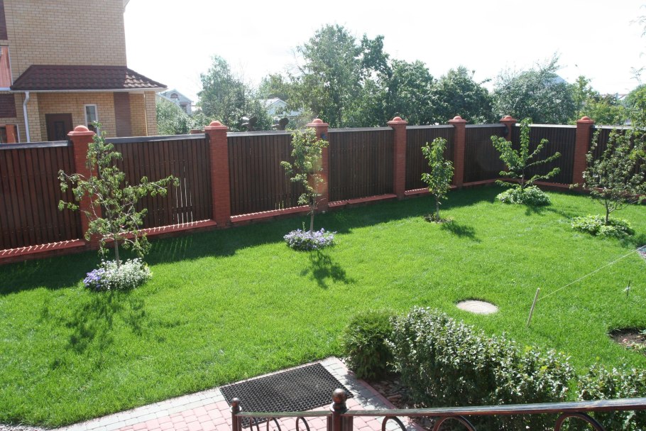 Плодовый сад вдоль забора