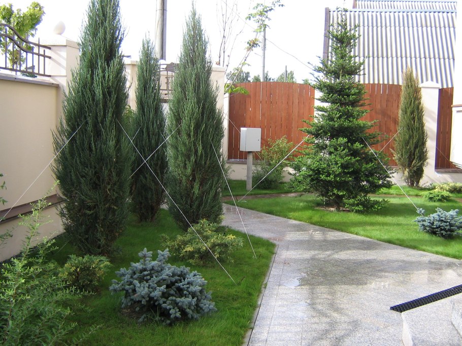 Крупномеры вдоль забора