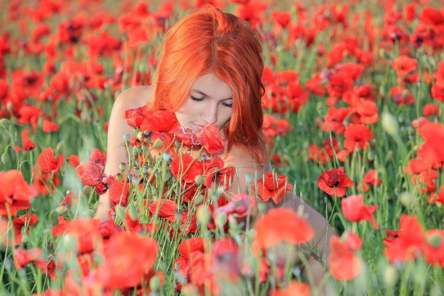 Рыжие волосы