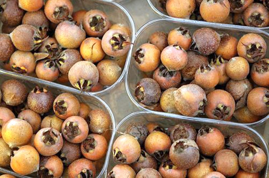 Мушмула азгиль