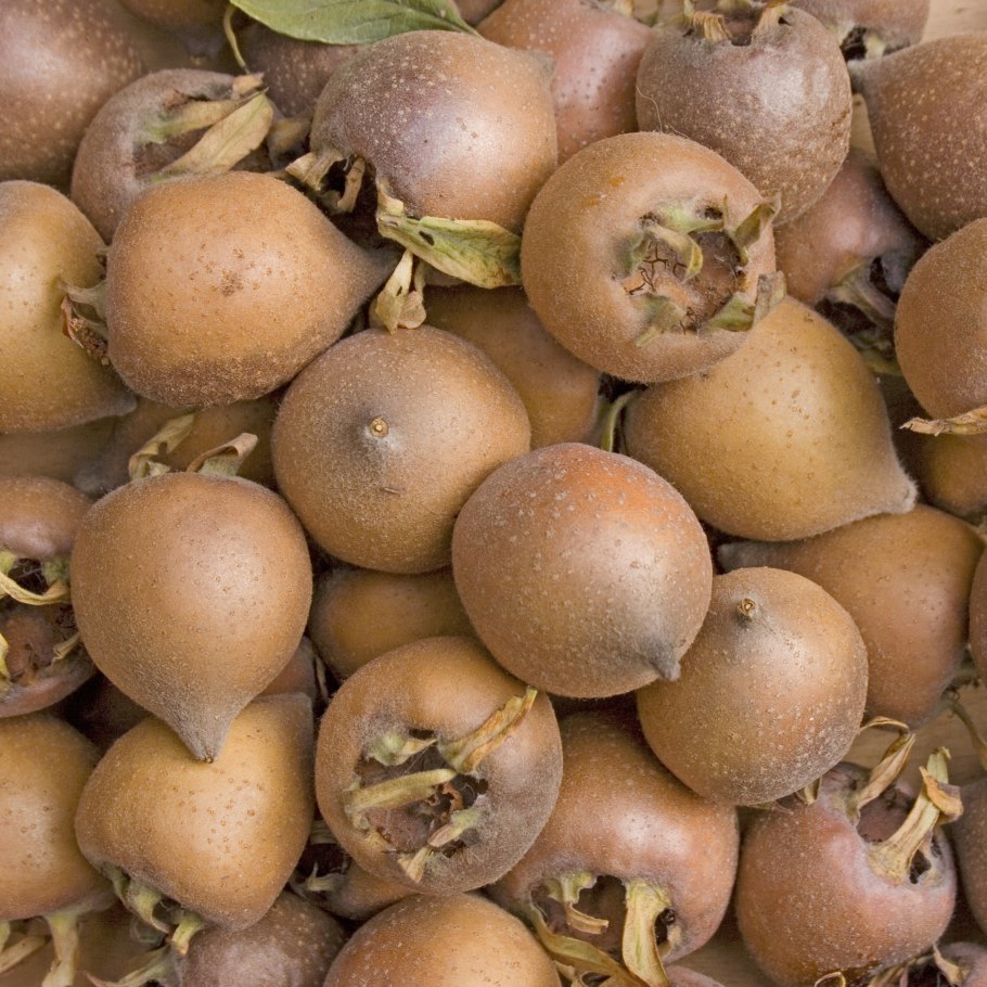 Мушмула японская локва