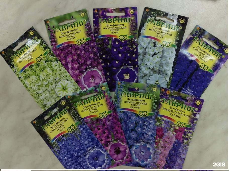 Дельфиниум супермахровый новозеландский гигант лайм