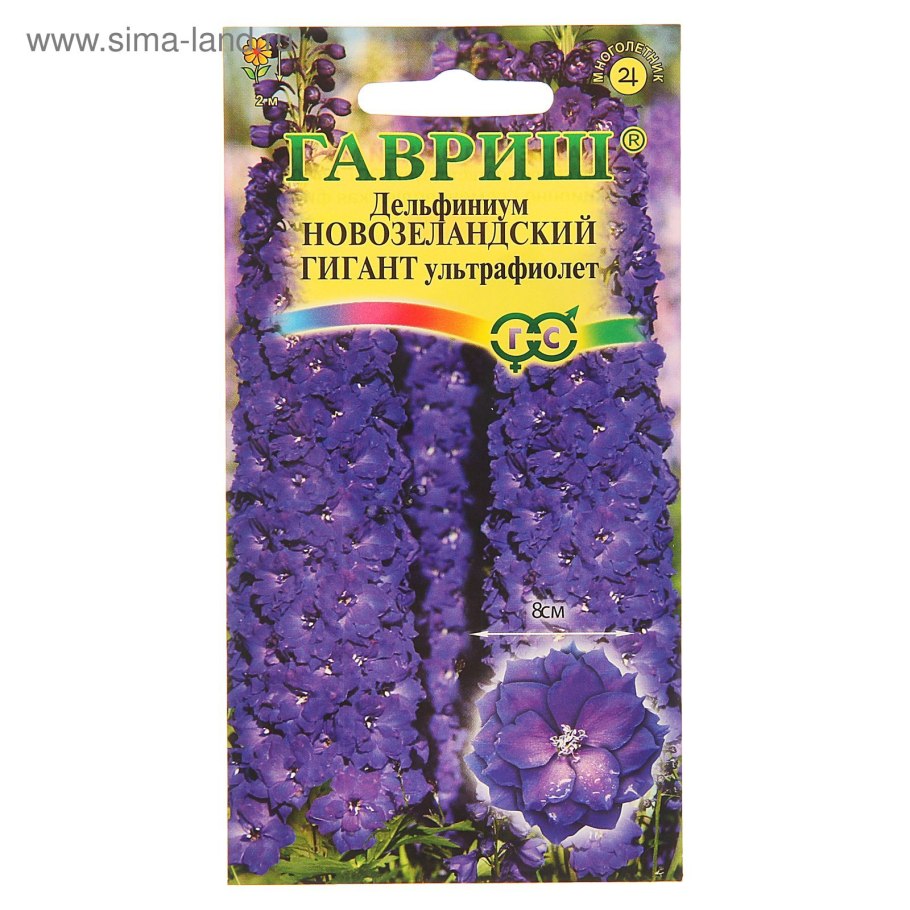 Дельфиниум супермахровый новозеландский гигант ультрафиолет