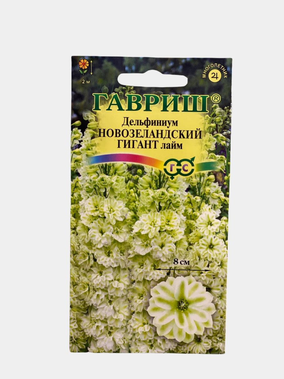 Дельфиниум новозеландский гигант лайм