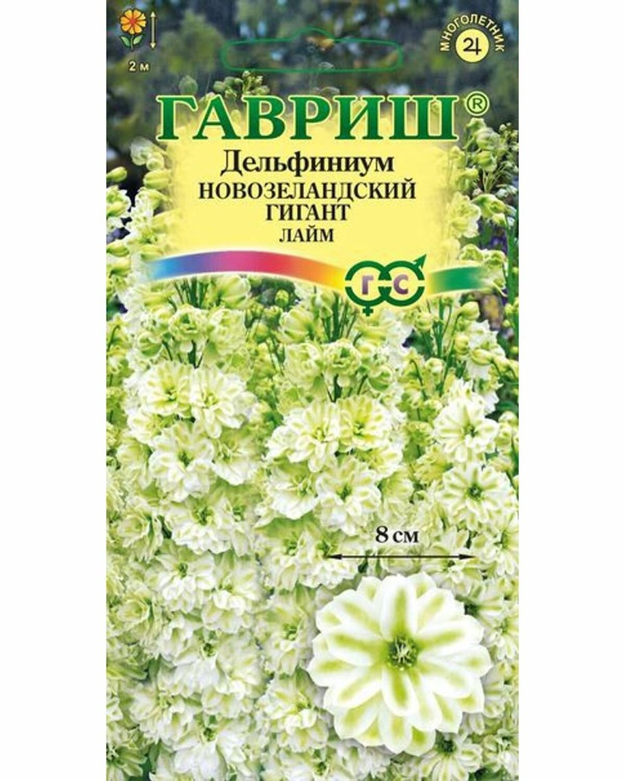 Дельфиниум махровый новозеландский