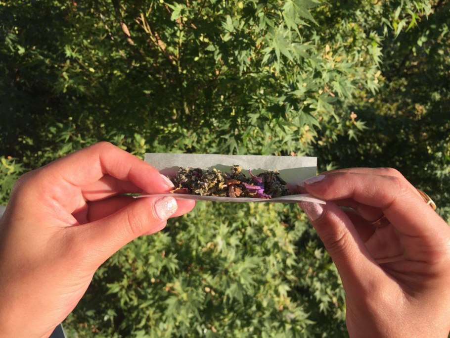 Роза Наркотическая