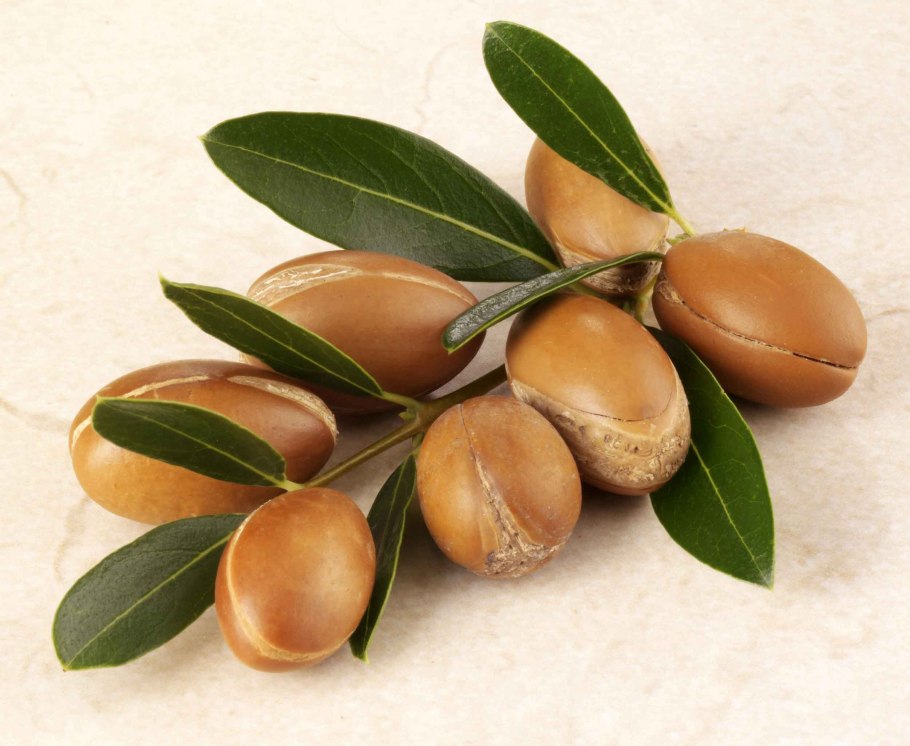 Argan Fruit PNG