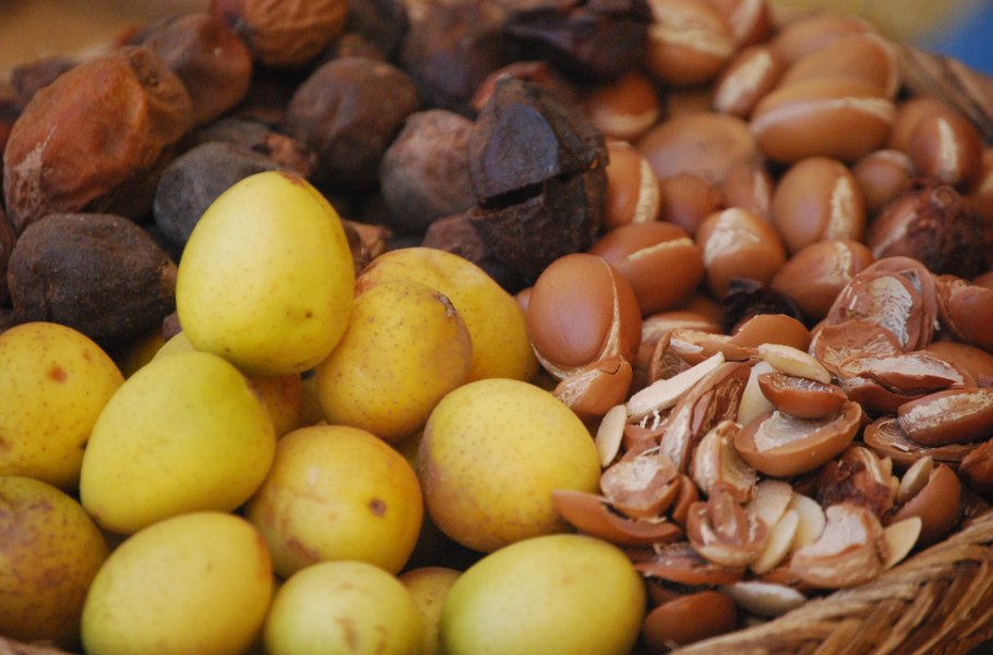 Марокканский плод аргана