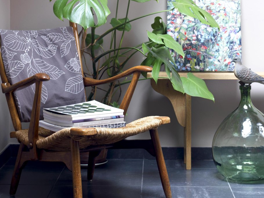 Фото цветов которые нельзя держать дома