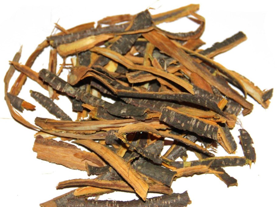 Волчья ягода Крушина