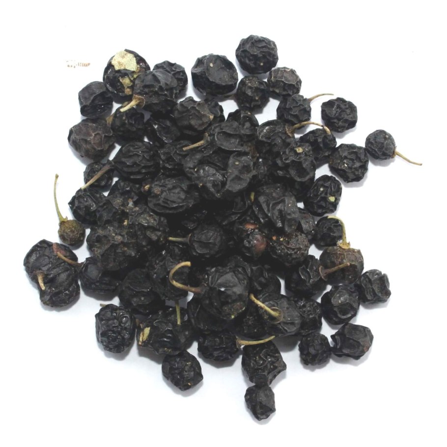 Кора крушины поперечный срез микроскопия