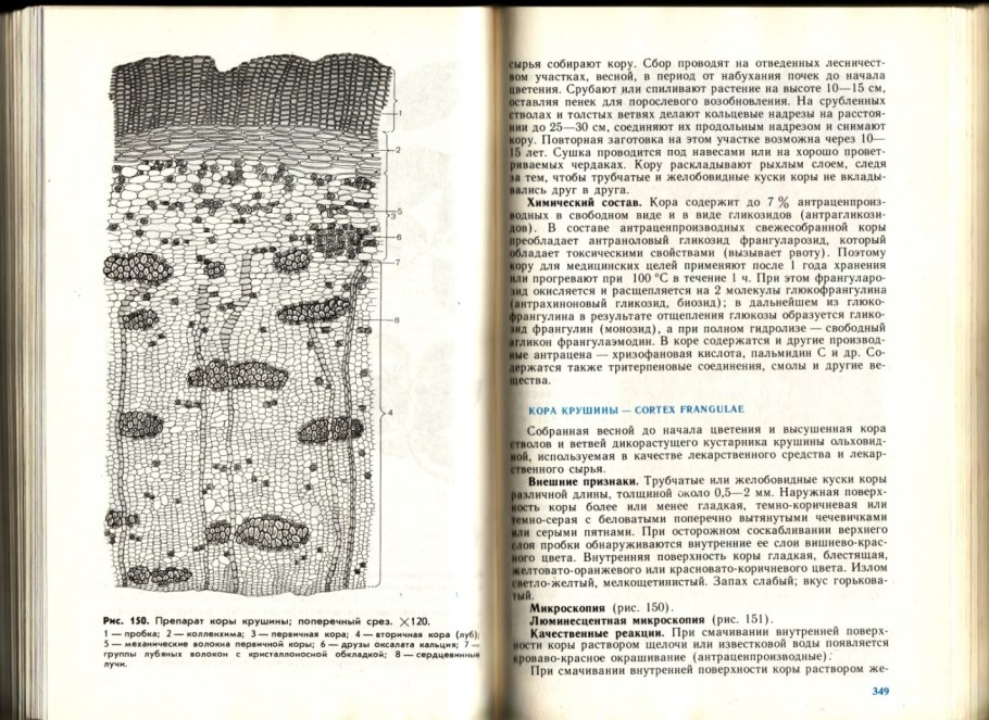 Радар-детектор Megaforcer z-11st