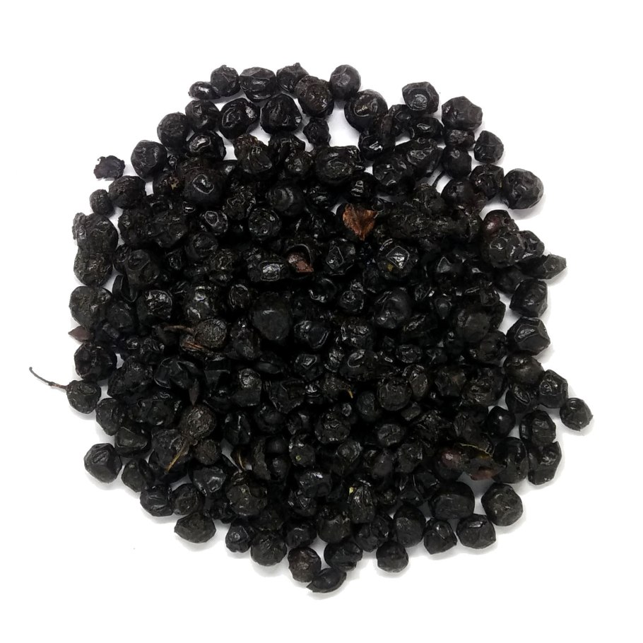 Гербарий крушины ольховидной