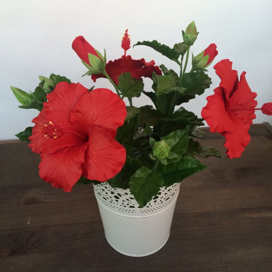 Китайский Розан