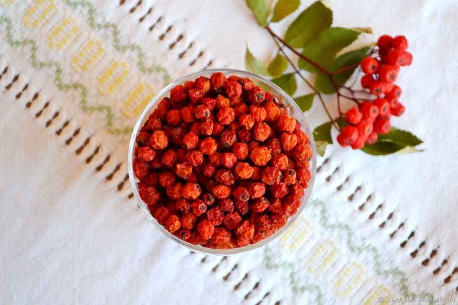 Рябина обыкновенная сушеная