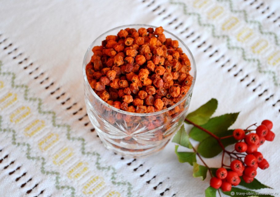 Плоды рябины ЛРС