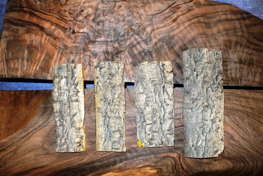 Орех айлантолистный маньчжурский