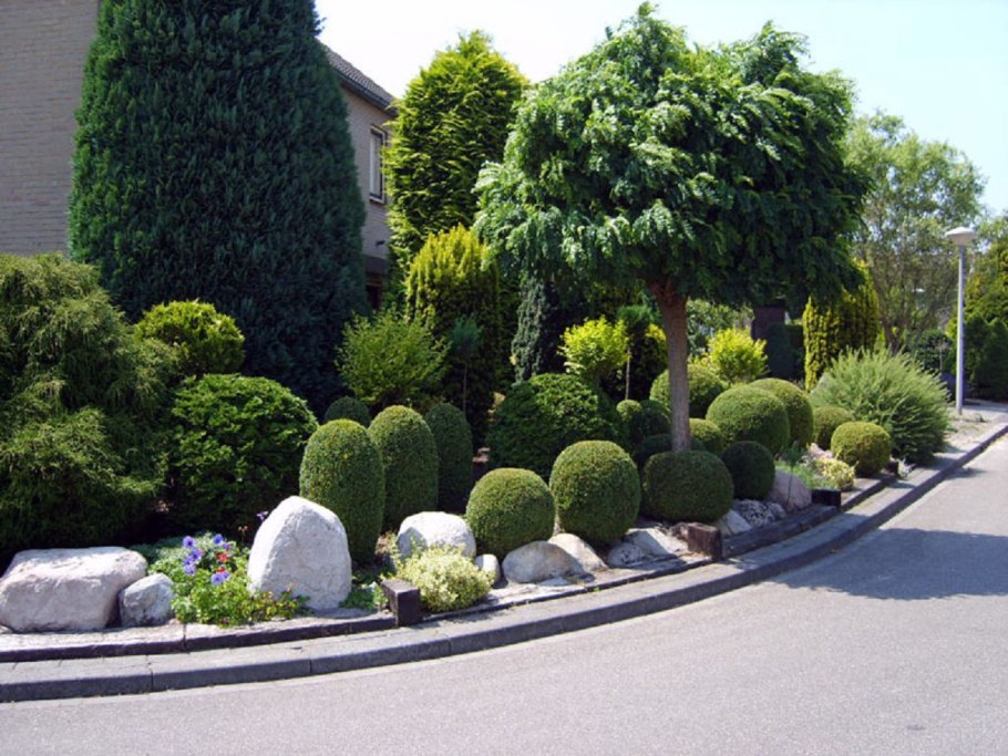 Лиственница японская Пендула