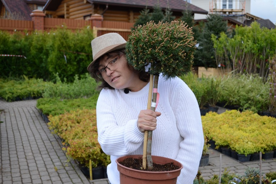 Наталья Самойленко дендролог