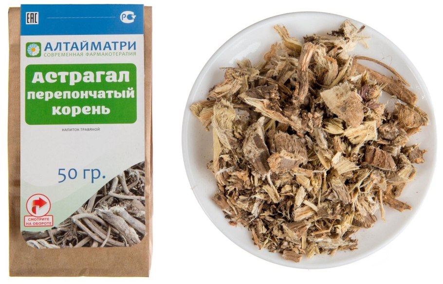 Астрагал перепончатый корень