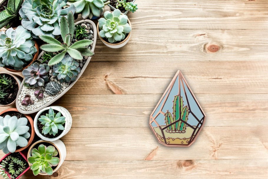 Стол с суккулентами
