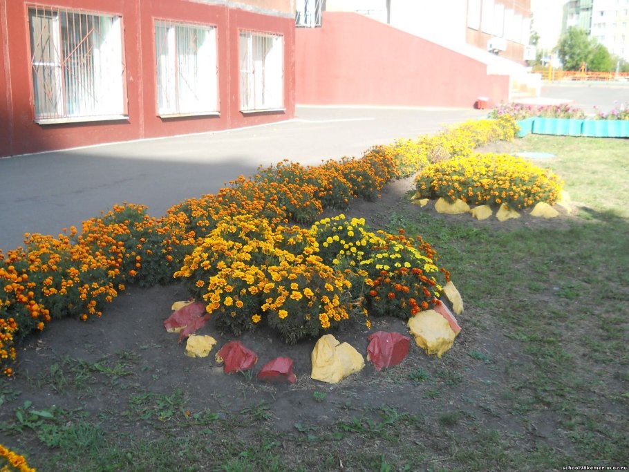 Клумбы для школьного двора