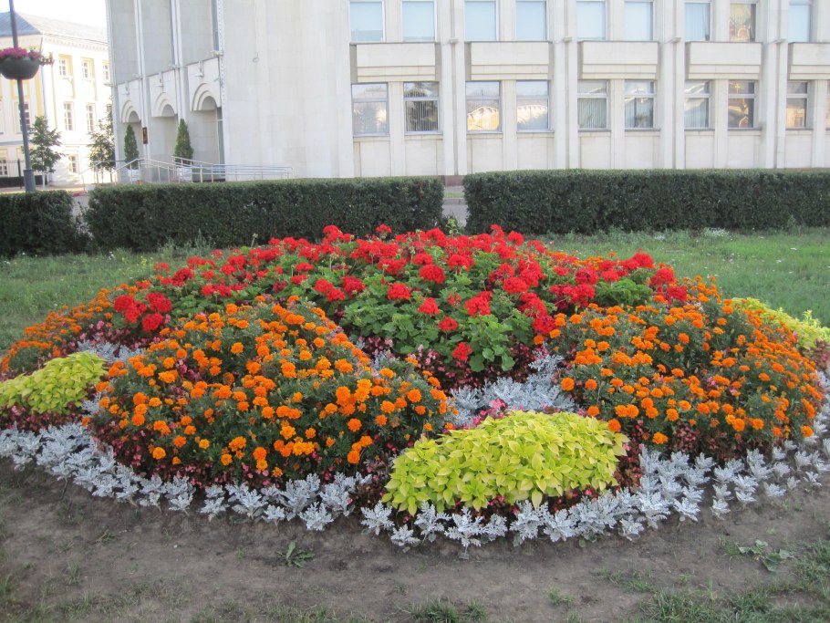 Красивые клумбы из многолетних цветов