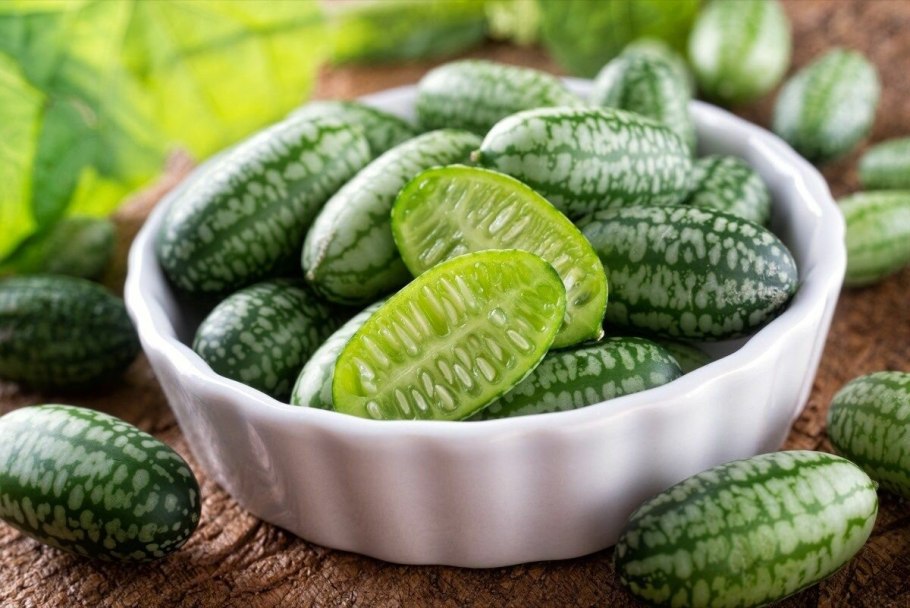 Мелотрия шершавая Колибри