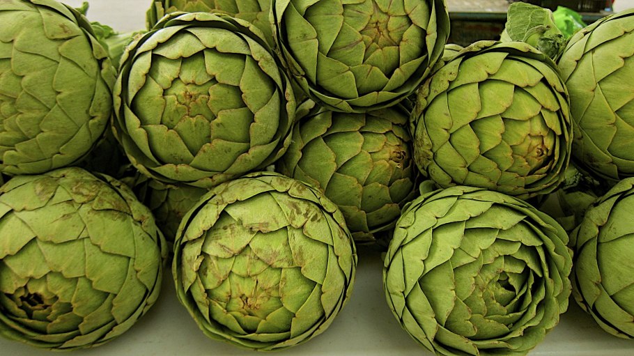 Артишок однолетник