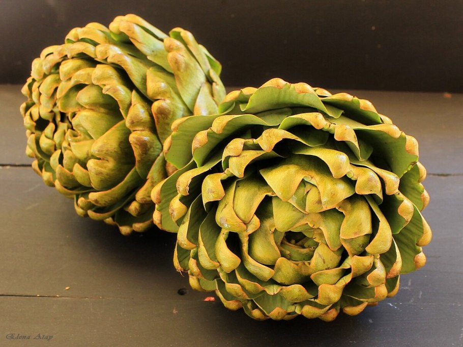 Артишок ЛРС