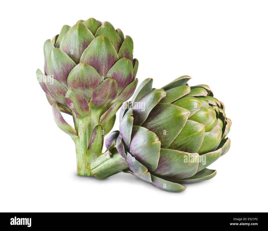 Постер артишок на белом фоне