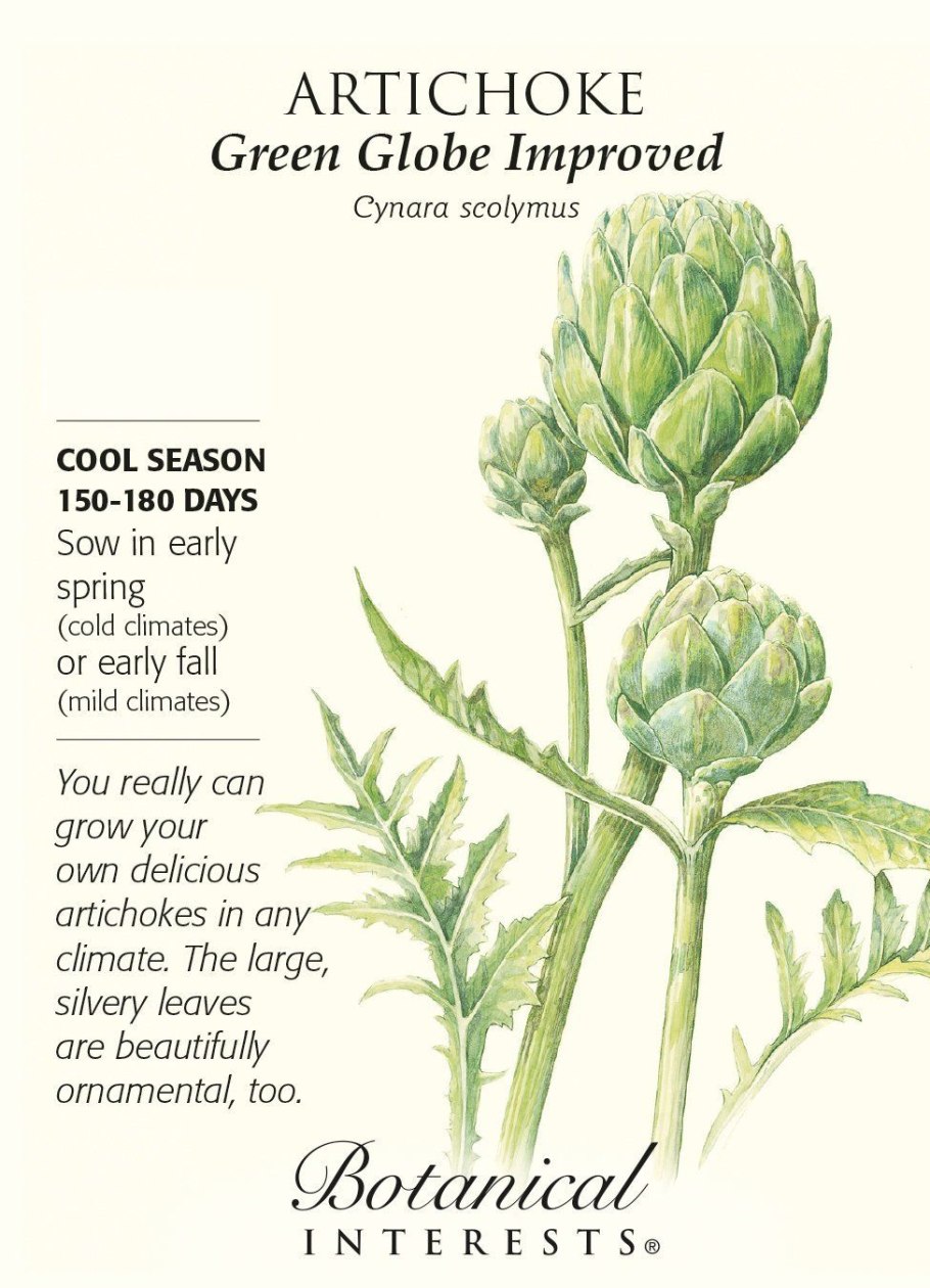 Мини артишок