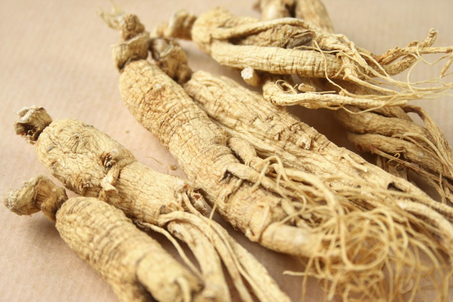 Siberian Ginseng растение