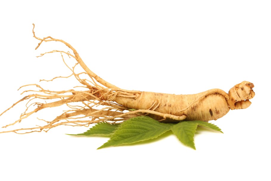 Panax Ginseng root extract