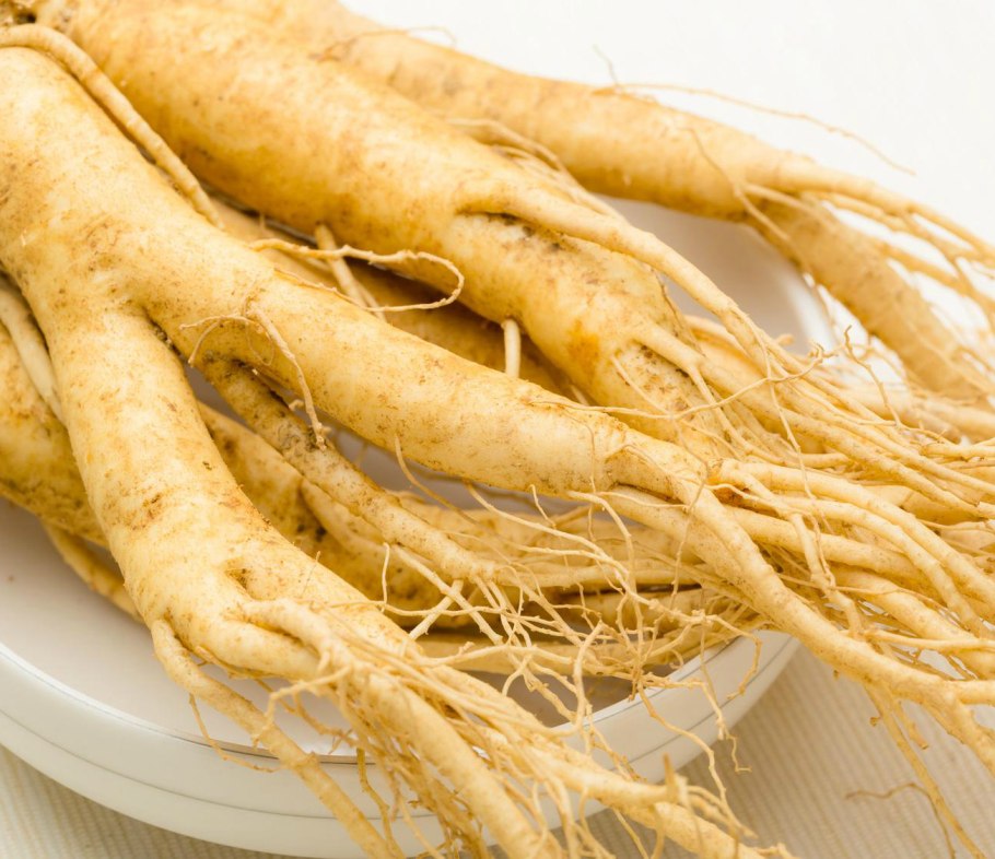 Корень женьшеня