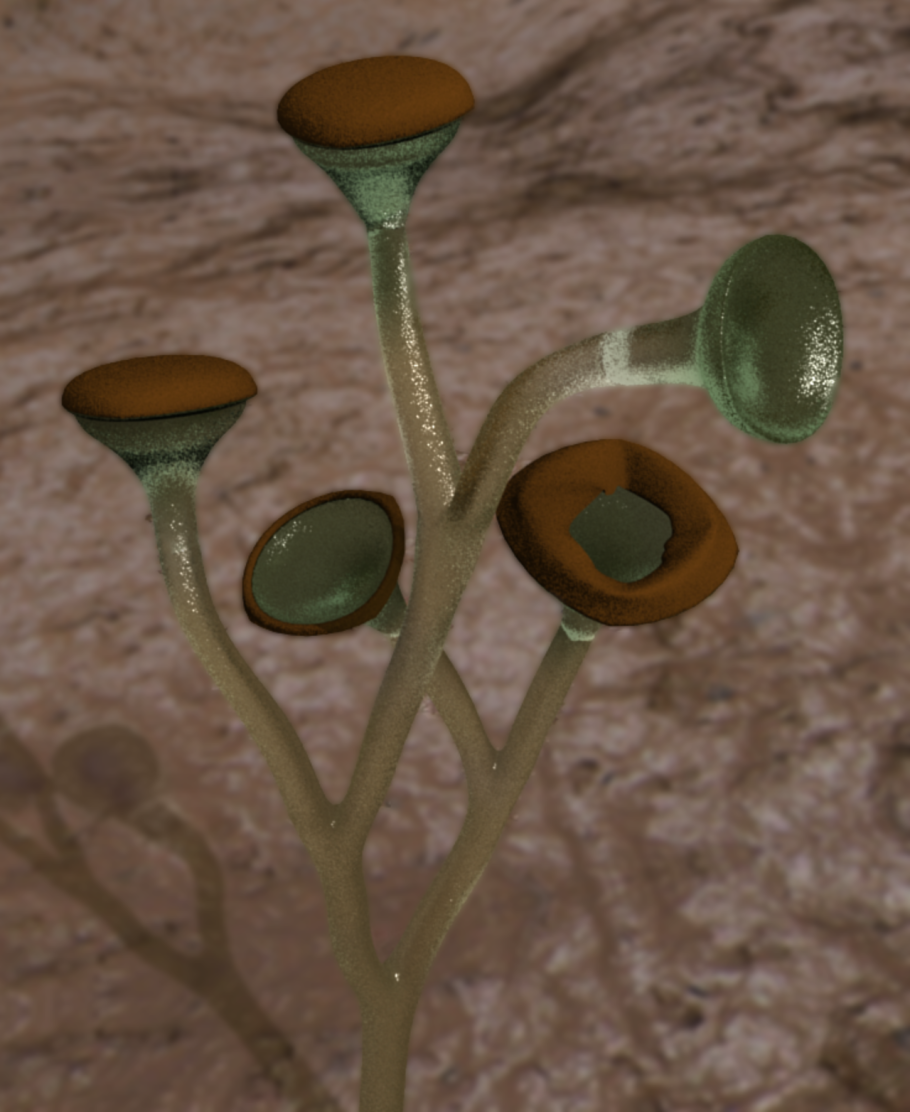 Силурийский период куксония