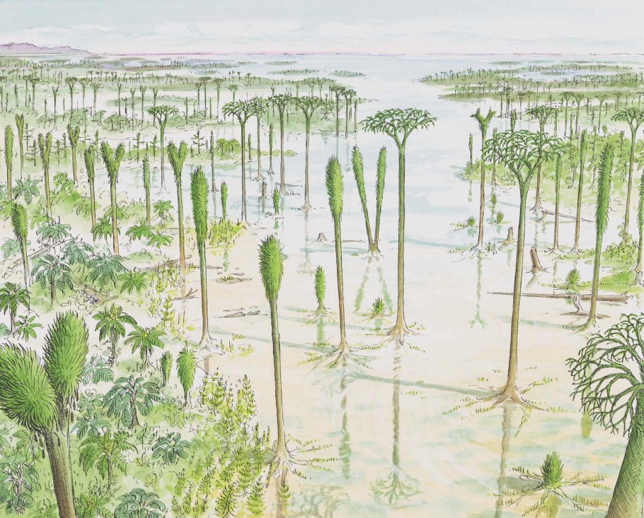 Риниофиты папоротники