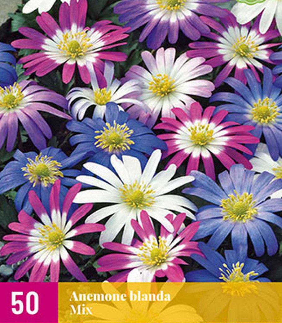 Анемона blanda Mix
