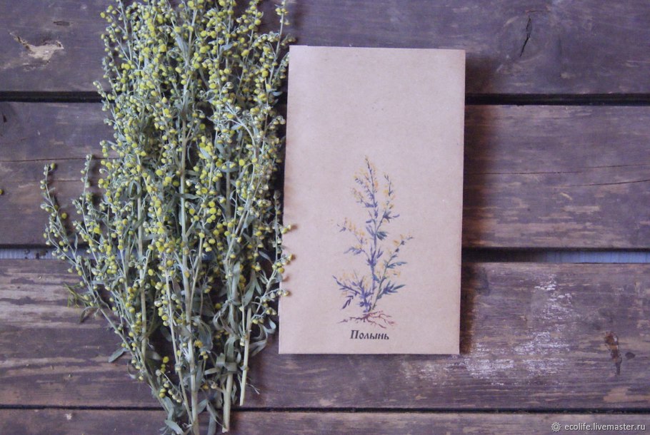 Полынь обыкновенная чернобыльник