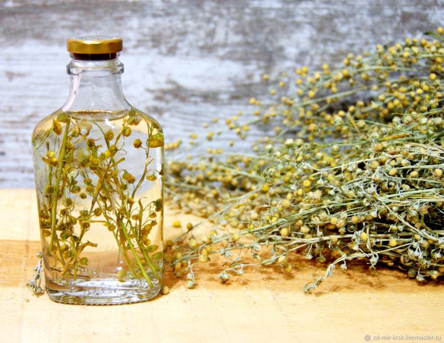 Сантолистная Полынь