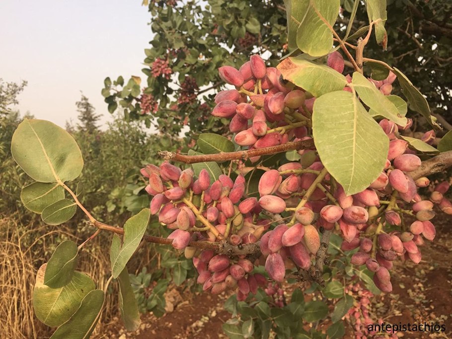 Пейзаж жизни