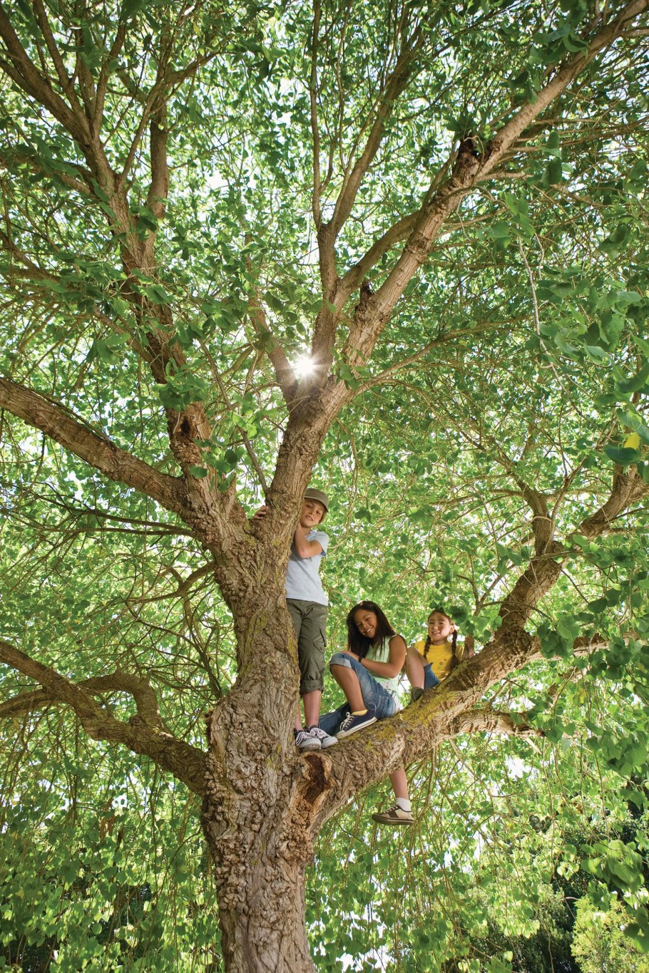 Крест с корнями арт